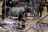 Horses provide therapy to Ukrainian war vets