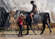Horses provide therapy to Ukrainian war vets