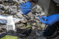 Who wins from nature's genetic bounty? The billions at stake in a global 'biopiracy' battle