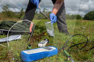 Who wins from nature's genetic bounty? The billions at stake in a global 'biopiracy' battle