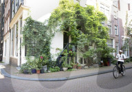Amsterdammers left bemused at plan to tackle flowerpot 'jungle'