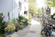 Amsterdammers left bemused at plan to tackle flowerpot 'jungle'