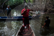 The vanishing mangroves of El Salvador: 'All our efforts may only slow the destruction'