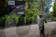 The vanishing mangroves of El Salvador: 'All our efforts may only slow the destruction'