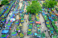 FEATURE - SN_MARKET_OF_MANGOS_01