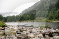 Why have salmon deserted Norway's rivers - and will they ever return?