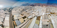FEATURE - SN_GREENHOUSE_SCAPE_01