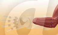 Prosthetic hand controlled by implanted magnets 
