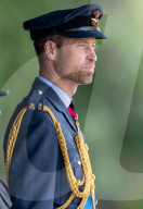 A gaunt looking Prince William sports a beard at Sovereign's Parade