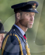A gaunt looking Prince William sports a beard at Sovereign's Parade