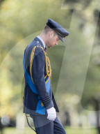 A gaunt looking Prince William sports a beard at Sovereign's Parade