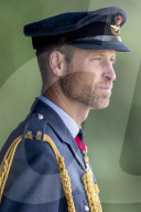 A gaunt looking Prince William sports a beard at Sovereign's Parade