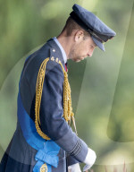 A gaunt looking Prince William sports a beard at Sovereign's Parade