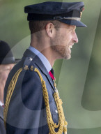 A gaunt looking Prince William sports a beard at Sovereign's Parade