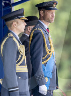 A gaunt looking Prince William sports a beard at Sovereign's Parade