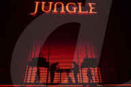Jungle review - like a puzzle with a piece missing