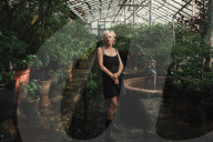 Kyiv's botanical garden staring at disaster as Russia targets Ukraine’s energy sector
