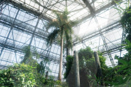 Kyiv's botanical garden staring at disaster as Russia targets Ukraine’s energy sector