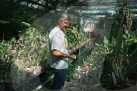 Kyiv's botanical garden staring at disaster as Russia targets Ukraine’s energy sector