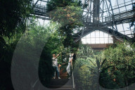 Kyiv's botanical garden staring at disaster as Russia targets Ukraine’s energy sector