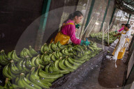 'Every time the planes pass, my eyes burn': the hidden cost of Costa Rican bananas