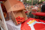 Gava Barcelona  Festa de la Rosa of the Socialists