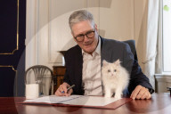 Prime Minister Keir Starmer is joined by family kitten, Prince