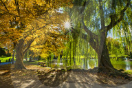 Autumn in New England