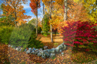Autumn in New England