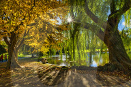 Autumn in New England