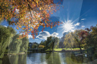 Autumn in New England