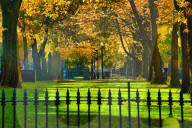 Autumn in New England