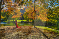 Autumn in New England