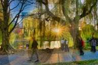 Autumn in New England