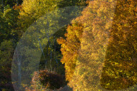 Autumn in New England
