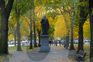 Autumn in New England