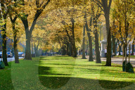 Autumn in New England