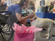 Trailblazing St Charles County K-9 officer retires