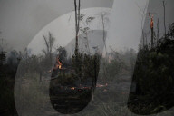 Brazil fire teams fight Amazon blazes - and the arsonists who start them.