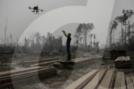 Brazil fire teams fight Amazon blazes - and the arsonists who start them.