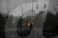 Brazil fire teams fight Amazon blazes - and the arsonists who start them.