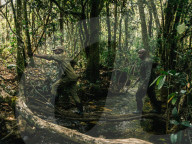The rangers turning the DRC's 'triangle of death' back into a thriving wildlife reserve, Upemba.