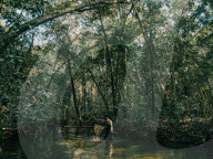 The rangers turning the DRC's 'triangle of death' back into a thriving wildlife reserve, Upemba.