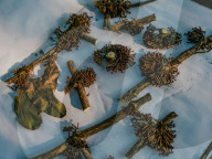 The rangers turning the DRC's 'triangle of death' back into a thriving wildlife reserve, Upemba.