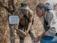 The rangers turning the DRC's 'triangle of death' back into a thriving wildlife reserve, Upemba.