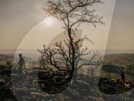 The rangers turning the DRC's 'triangle of death' back into a thriving wildlife reserve, Upemba.