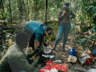 The rangers turning the DRC's 'triangle of death' back into a thriving wildlife reserve, Upemba.