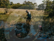The rangers turning the DRC's 'triangle of death' back into a thriving wildlife reserve, Upemba.