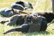 A lot of good people there: Henty Machinery Field Days 2024