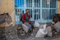 How the west's wellness industry is driving Ethiopia's frankincense trees towards extinction